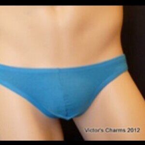 9/$40 NEW Victor's Charms Blue Soft Cotton Bikini Brief Sz M